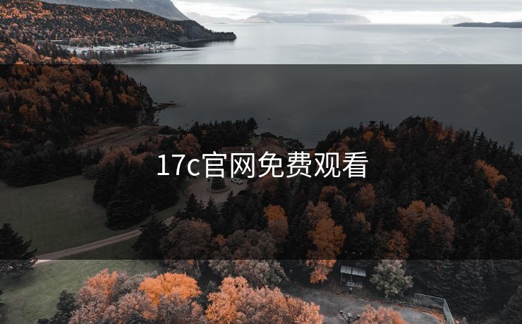 17c官网免费观看